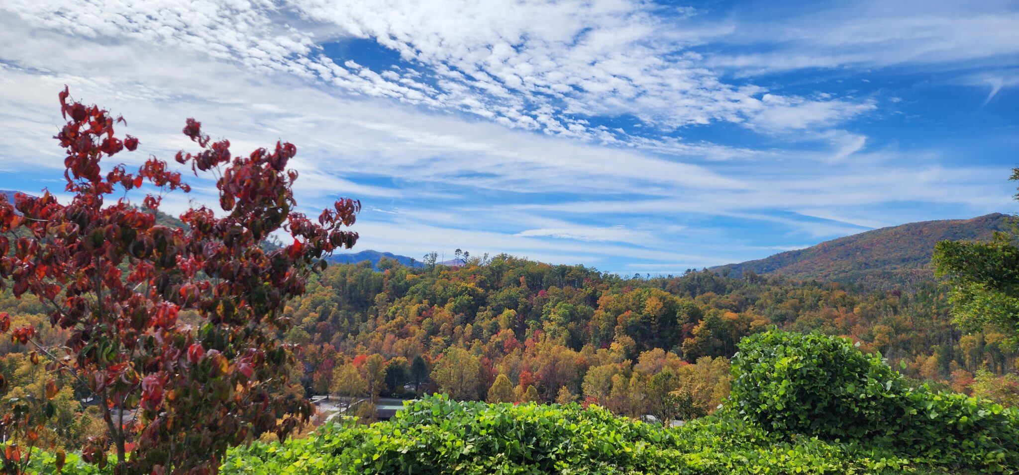 NATURE'S MAGICAL COLORING BOOK Park Vista